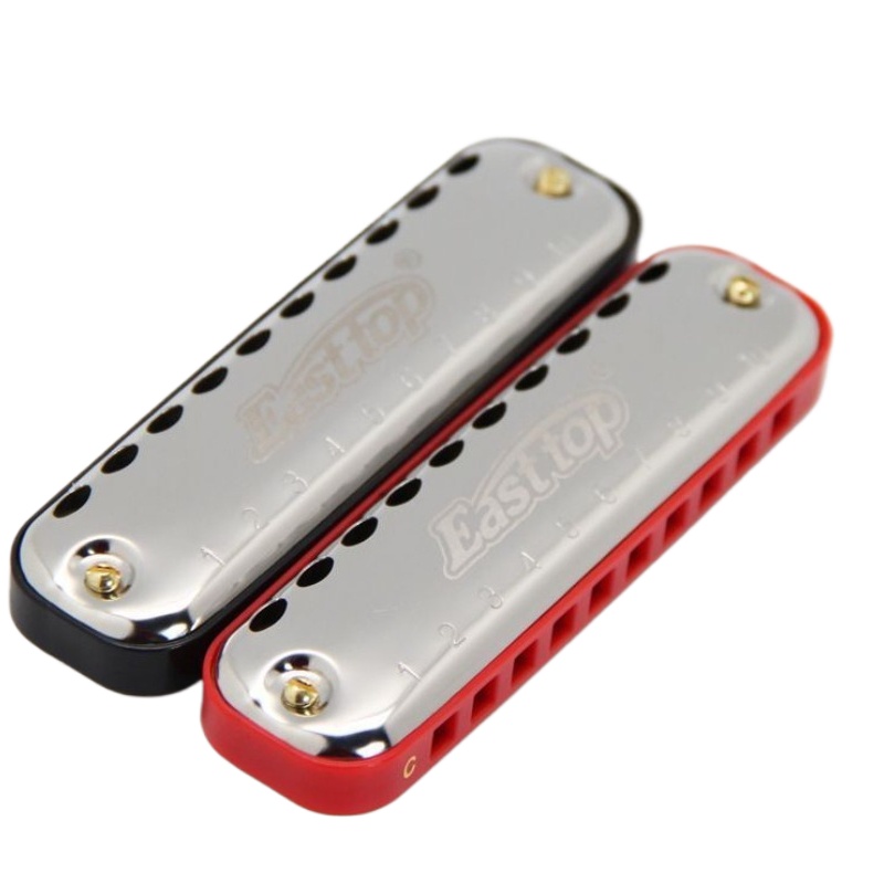 Harmonica 10 Hole - Strumento tascabile per principianti adulti con