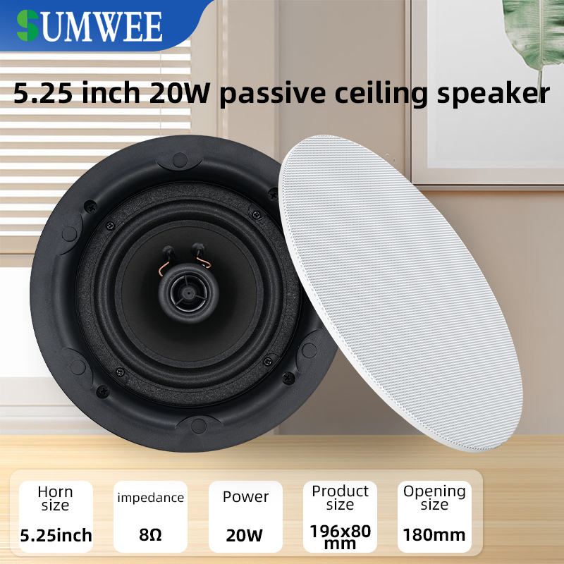 Audio Music System For Home - Altoparlante da soffitto da 5,25 pollici,