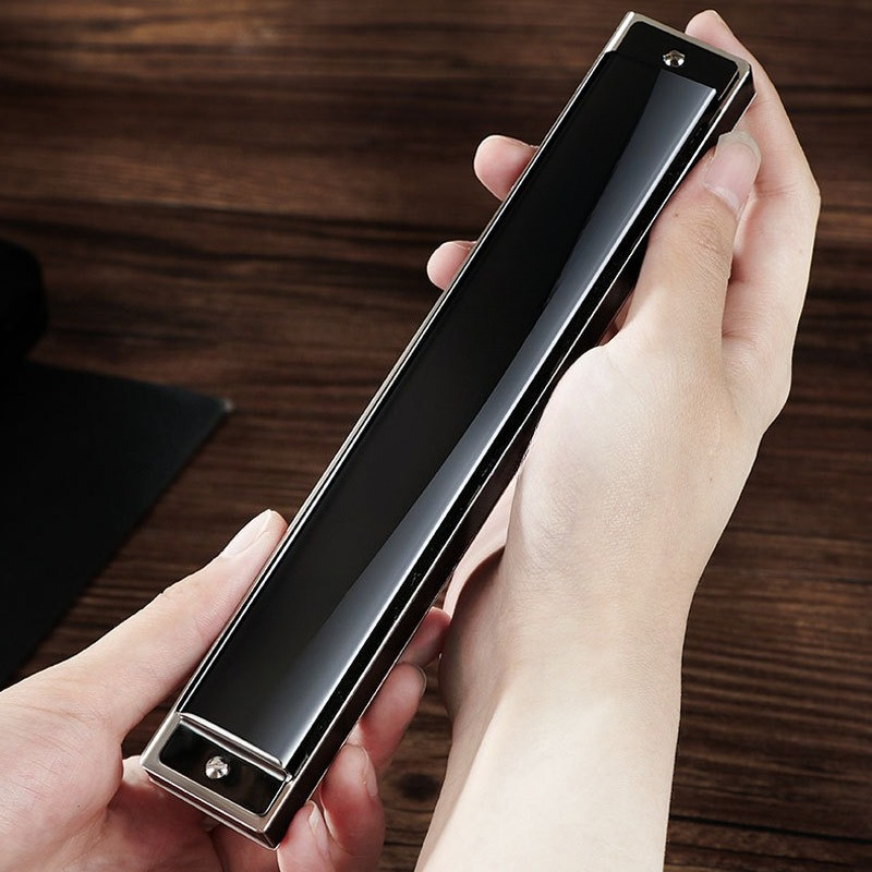 Armonica polifonica a 24 fori  - Harmonica 10 Hole recensione e prezzo
