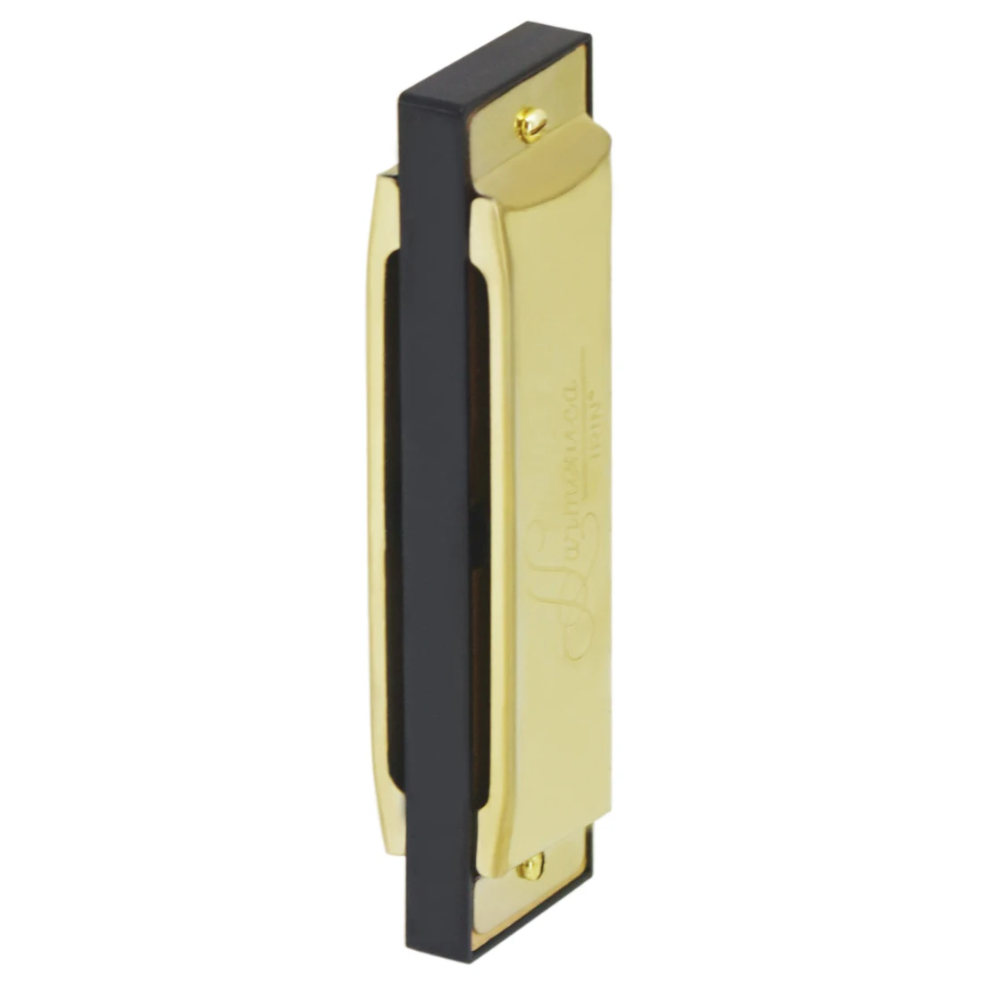 Armonica IRIN 10 fori 20 toni  - Harmonica 10 Hole recensione e prezzo