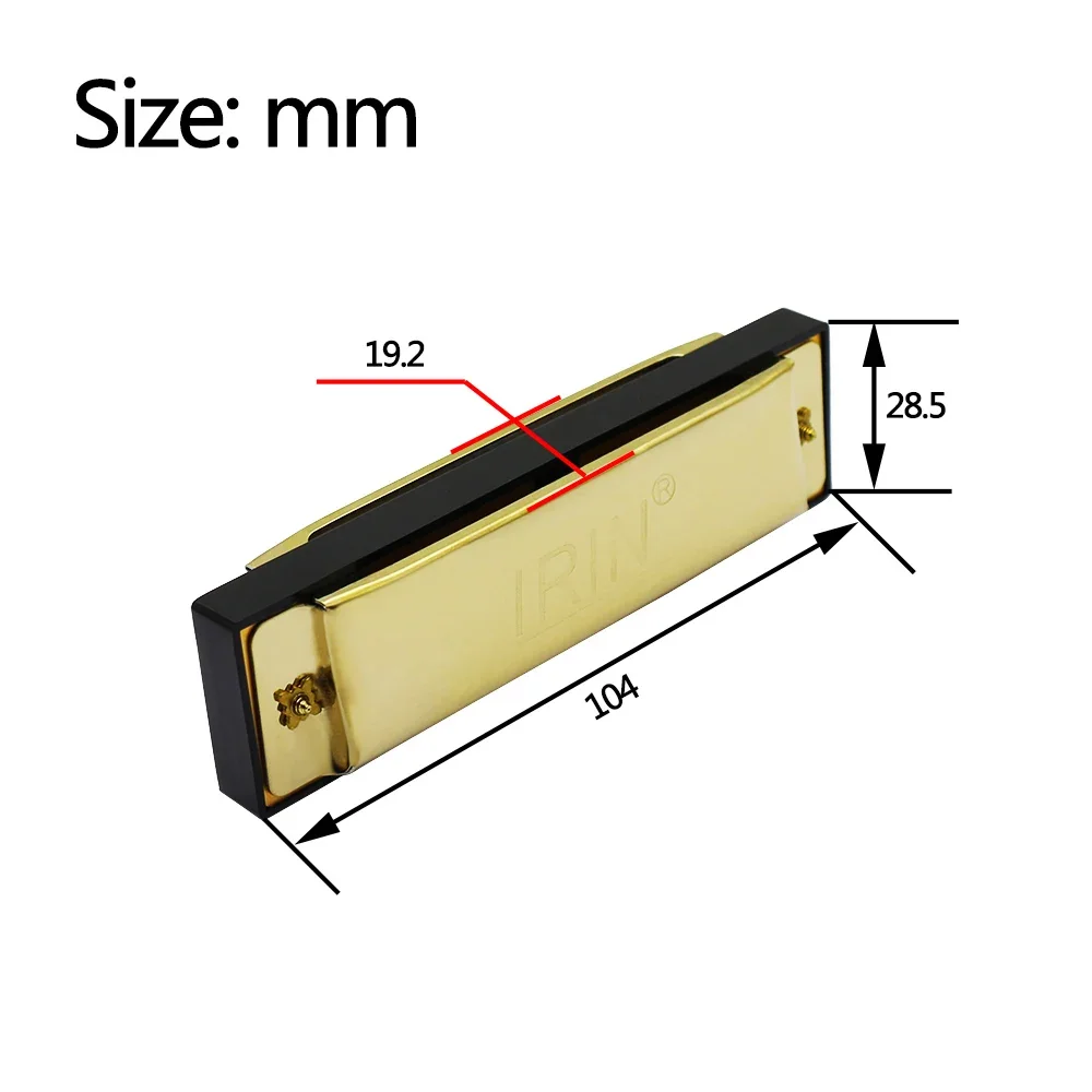 Armonica IRIN 10 fori 20 toni  - Harmonica 10 Hole recensione e prezzo
