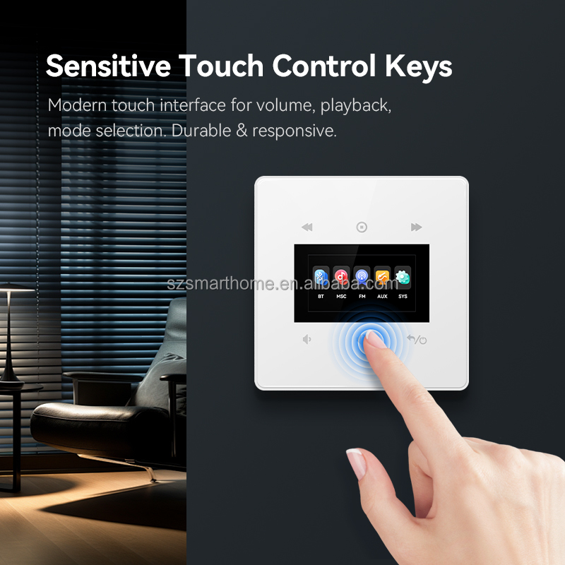 Mini Amplificatore Domestico d - Audio Music System For Home recensione e prezzo