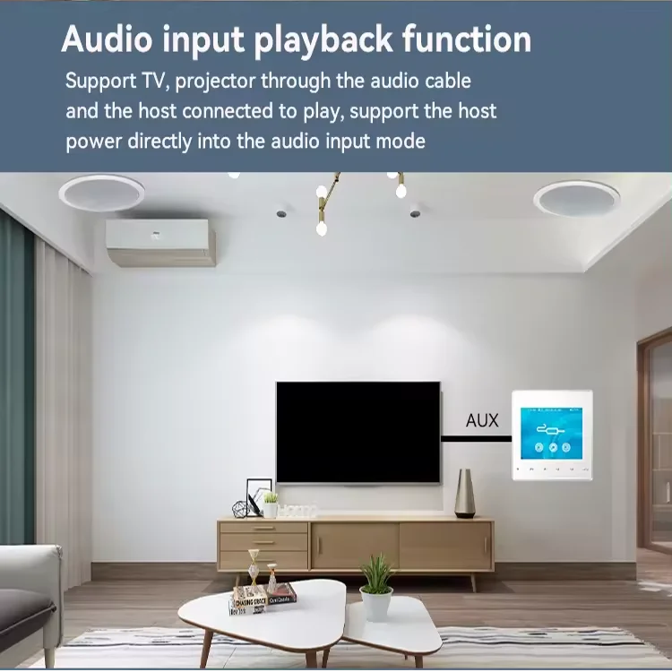 Home Bluetooth Amplificatore d - Audio Music System For Home recensione e prezzo
