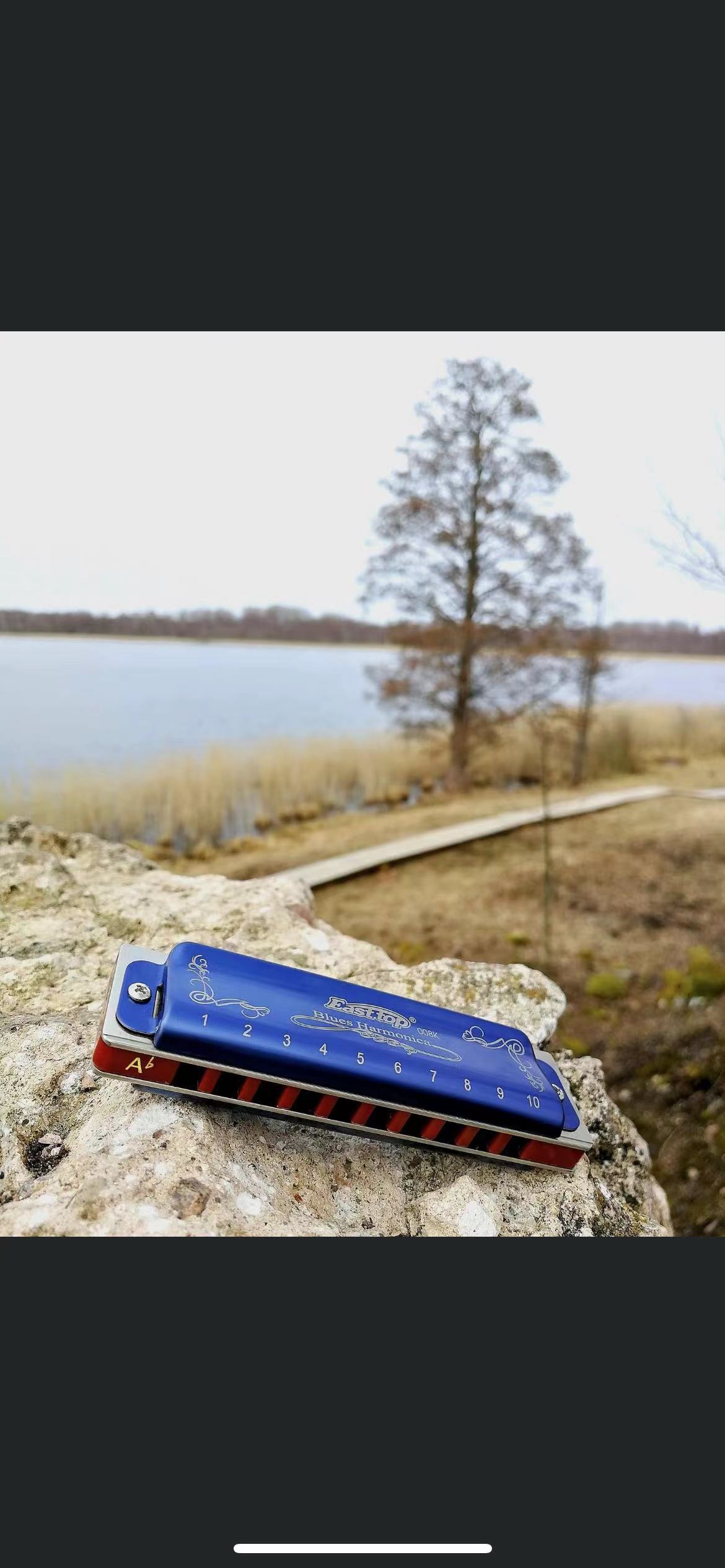 EASTTOP T008K Armonica Diatoni - Harmonica 10 Hole recensione e prezzo