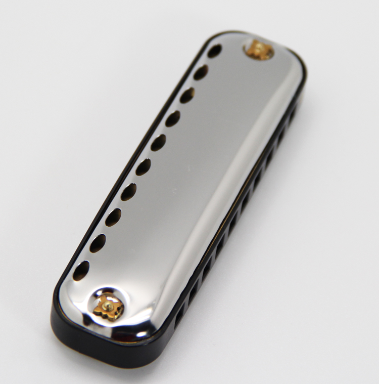 EASTTOP armonica Blues arpa ch - Harmonica 10 Hole recensione e prezzo