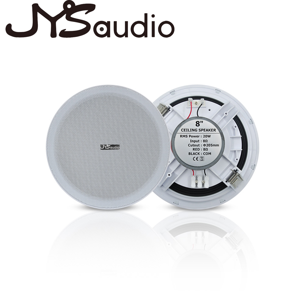 Altoparlante da soffitto da 20 - Audio Music System For Home recensione e prezzo