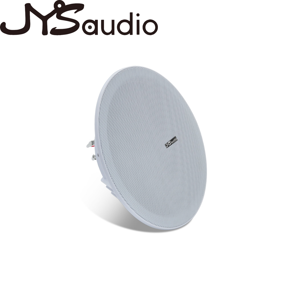 Altoparlante da soffitto da 20 - Audio Music System For Home recensione e prezzo