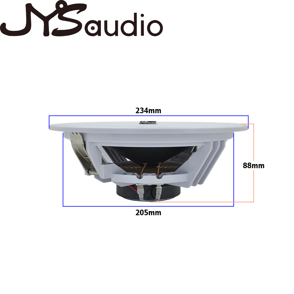 Altoparlante da soffitto da 20 - Audio Music System For Home recensione e prezzo
