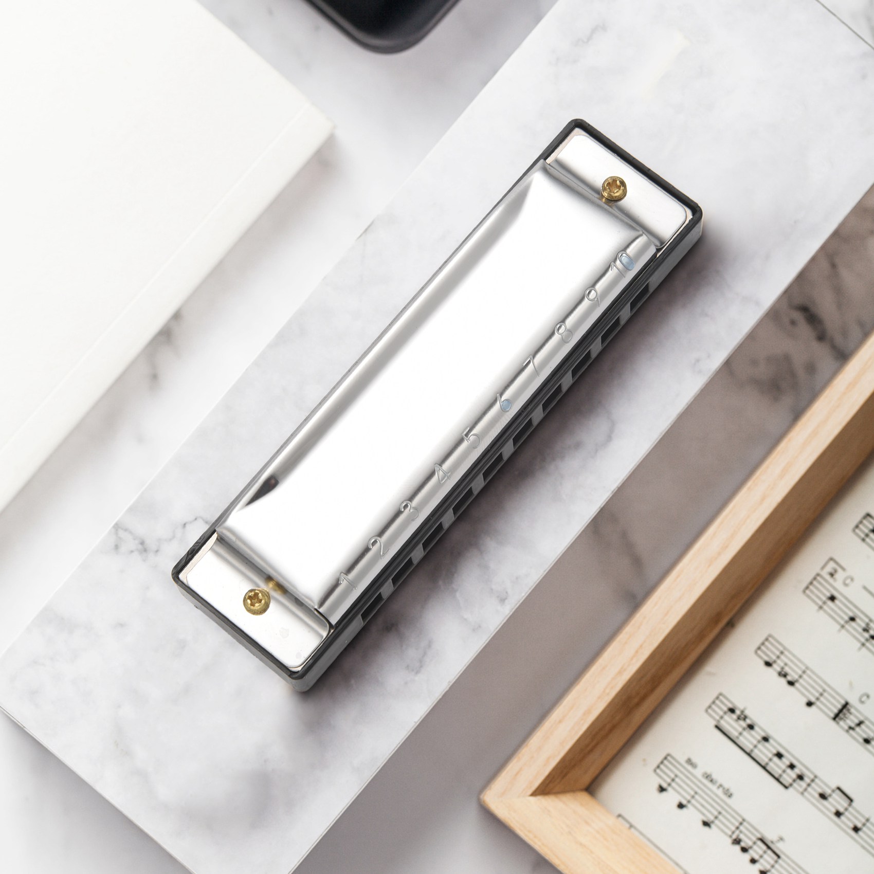 Armonica Blues ABXY a 10 Fori, - Harmonica 10 Hole recensione e prezzo