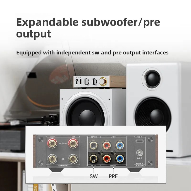 FiiO Horizon Level 1 Amplifica - Audio Music System For Home recensione e prezzo
