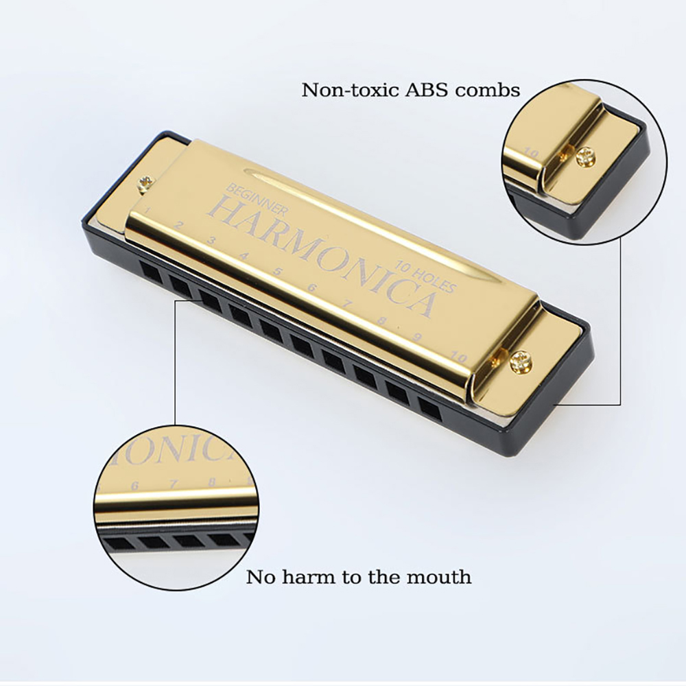 Armonica a 10 fori C Armonica  - Harmonica 10 Hole recensione e prezzo