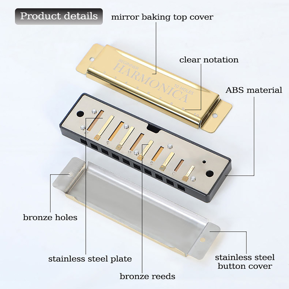 Armonica a 10 fori C Armonica  - Harmonica 10 Hole recensione e prezzo
