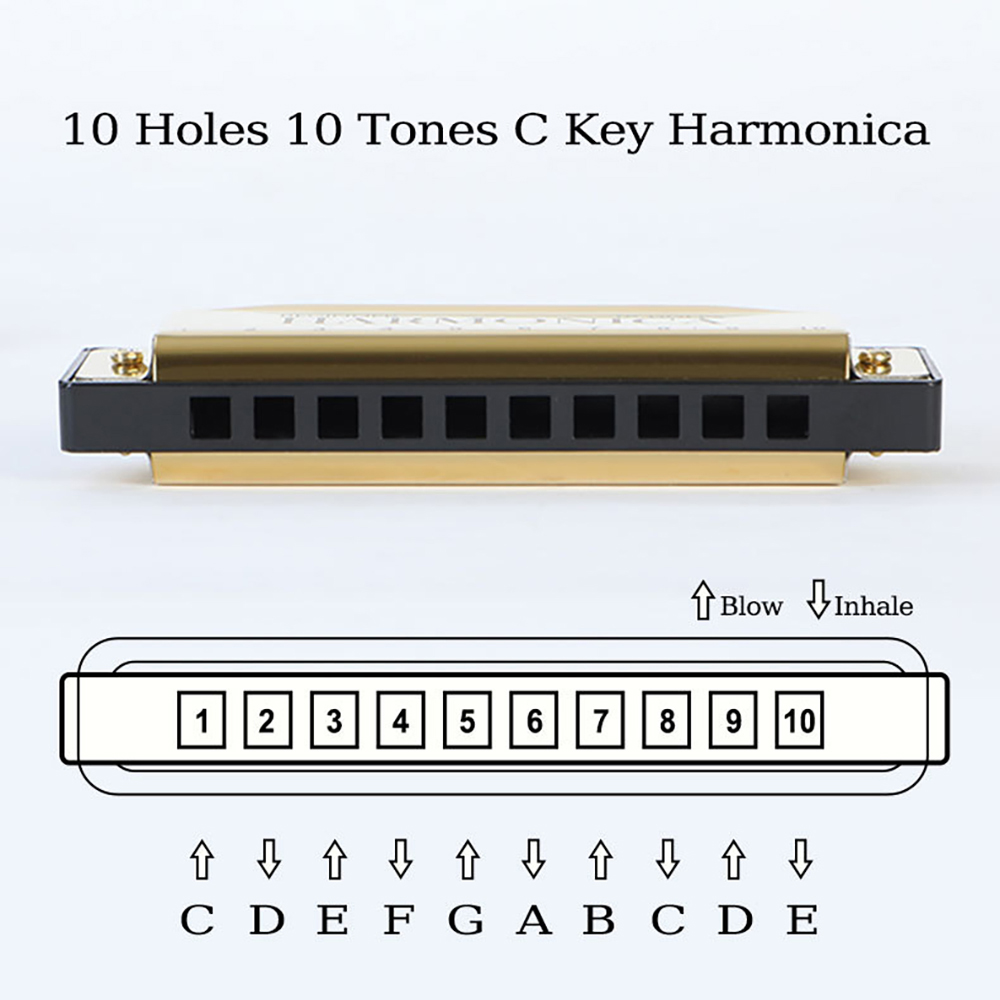 Armonica a 10 fori C Armonica  - Harmonica 10 Hole recensione e prezzo