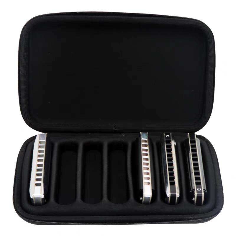Custodia per Armonica Diatonic - Harmonica 10 Hole recensione e prezzo
