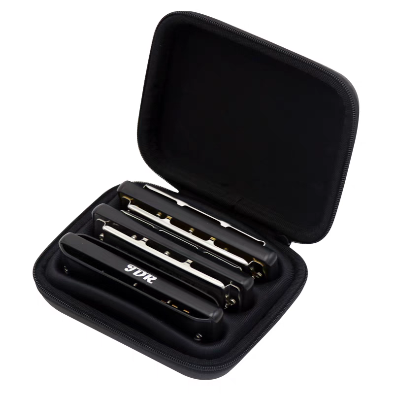Custodia per Armonica Diatonic - Harmonica 10 Hole recensione e prezzo