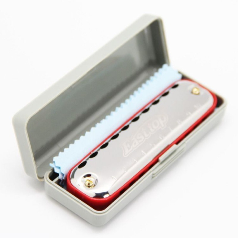 Strumento tascabile per princi - Harmonica 10 Hole recensione e prezzo