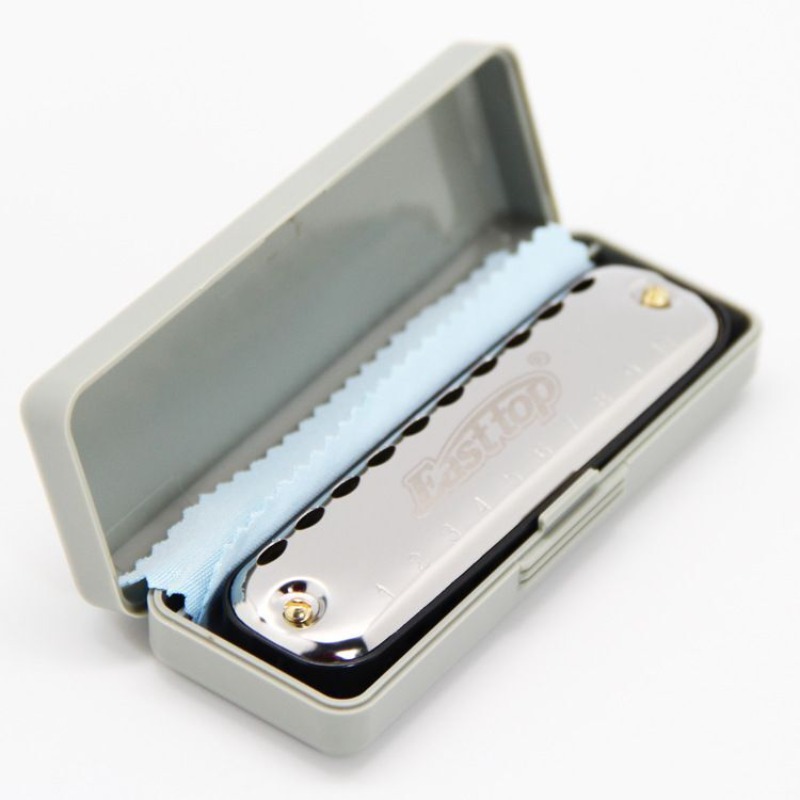Strumento tascabile per princi - Harmonica 10 Hole recensione e prezzo