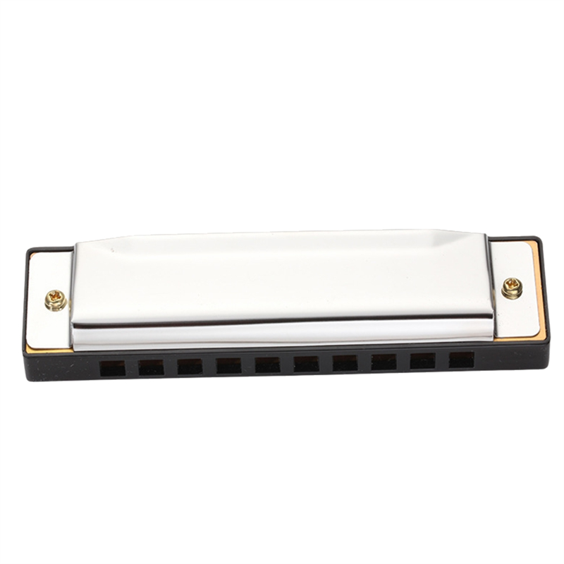 Lo-Ok Armonica blues a 10 fori - Harmonica 10 Hole recensione e prezzo