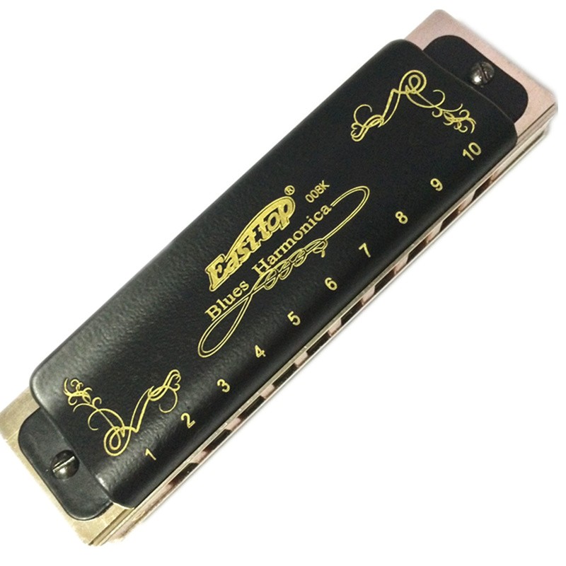 Armonica di vendita calda T008 - Harmonica 10 Hole recensione e prezzo