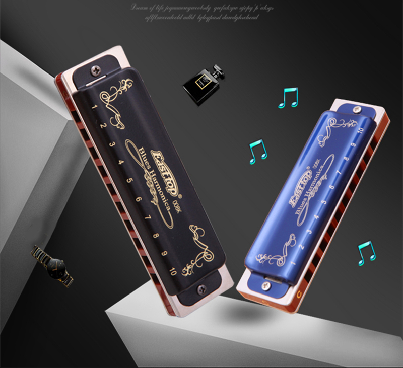 Armonica di vendita calda T008 - Harmonica 10 Hole recensione e prezzo