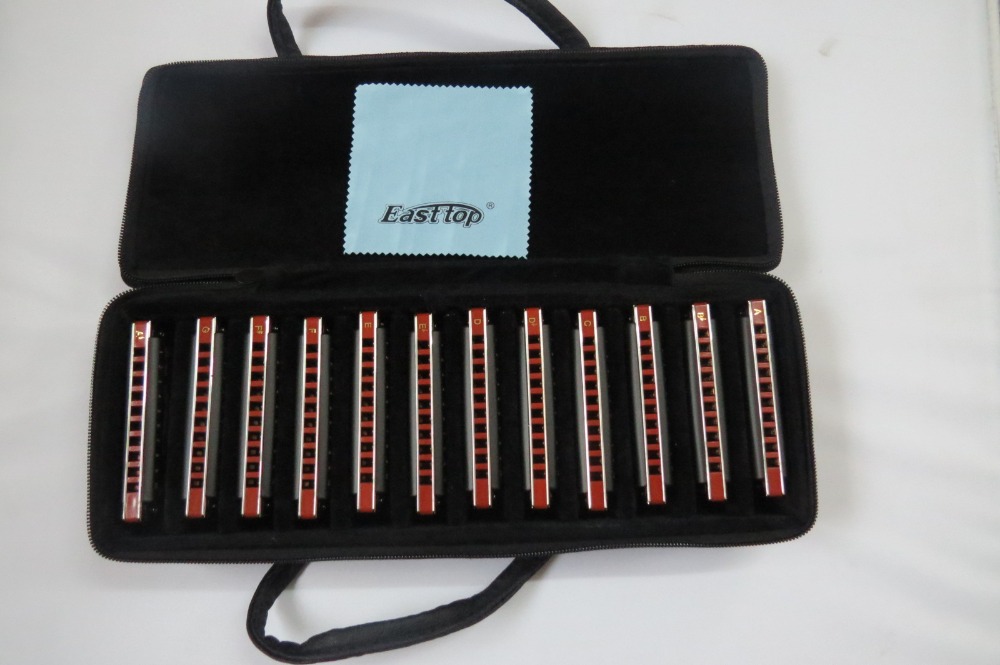 EASTTOP armonica a bocca blues - Harmonica 10 Hole recensione e prezzo