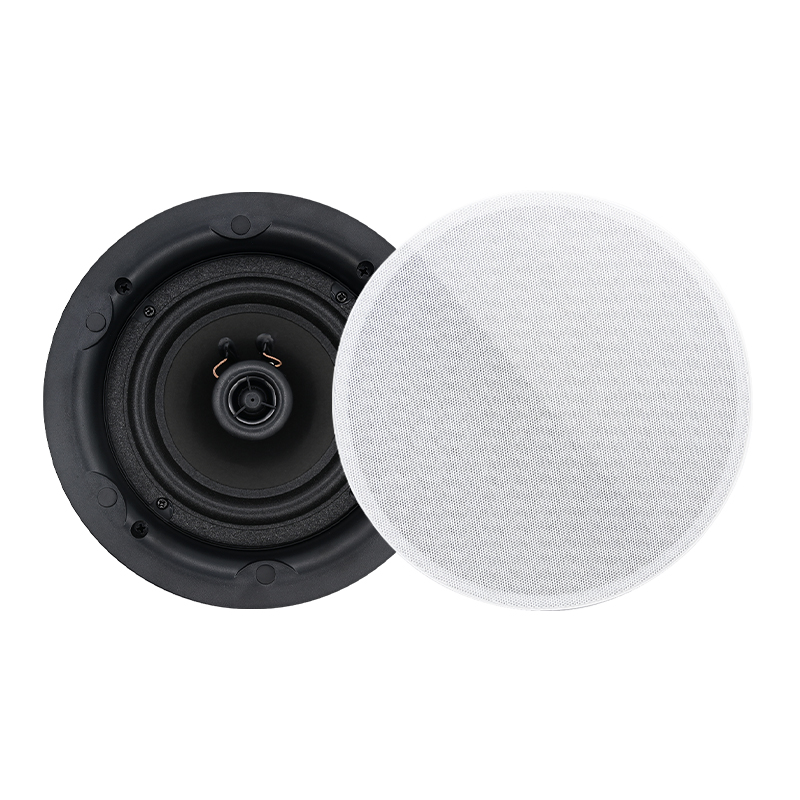 Altoparlante da soffitto da 5, - Audio Music System For Home recensione e prezzo