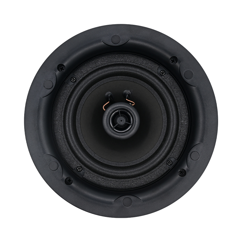 Altoparlante da soffitto da 5, - Audio Music System For Home recensione e prezzo