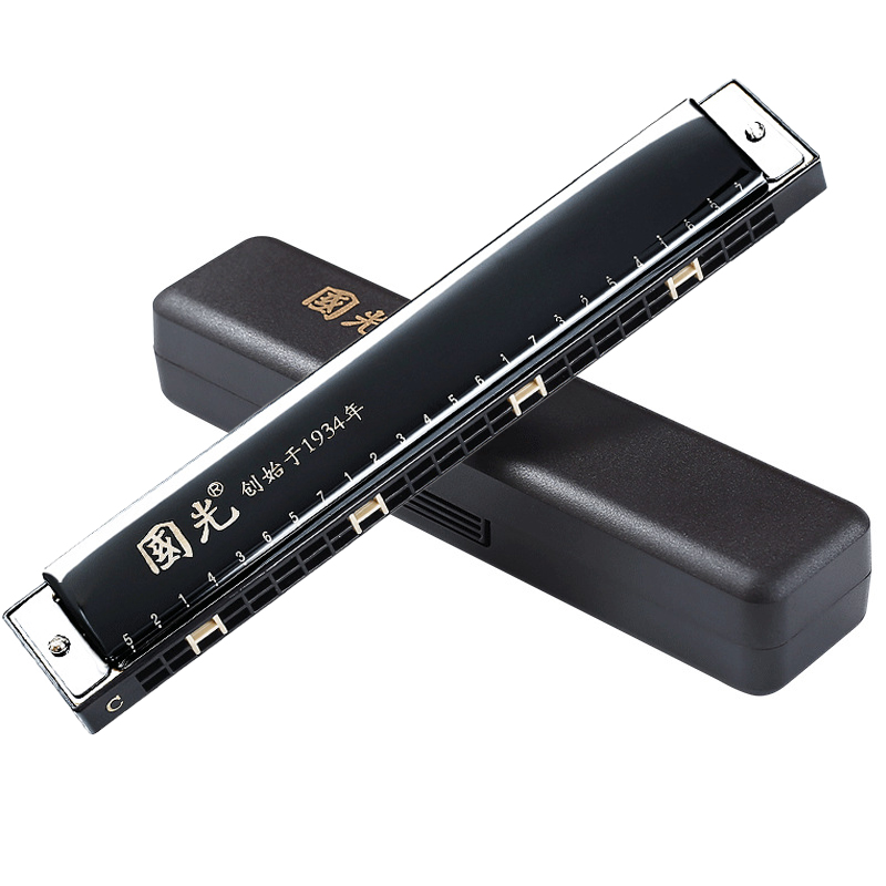 Guoguang Tremolo Armonica 24 f - Harmonica 10 Hole recensione e prezzo