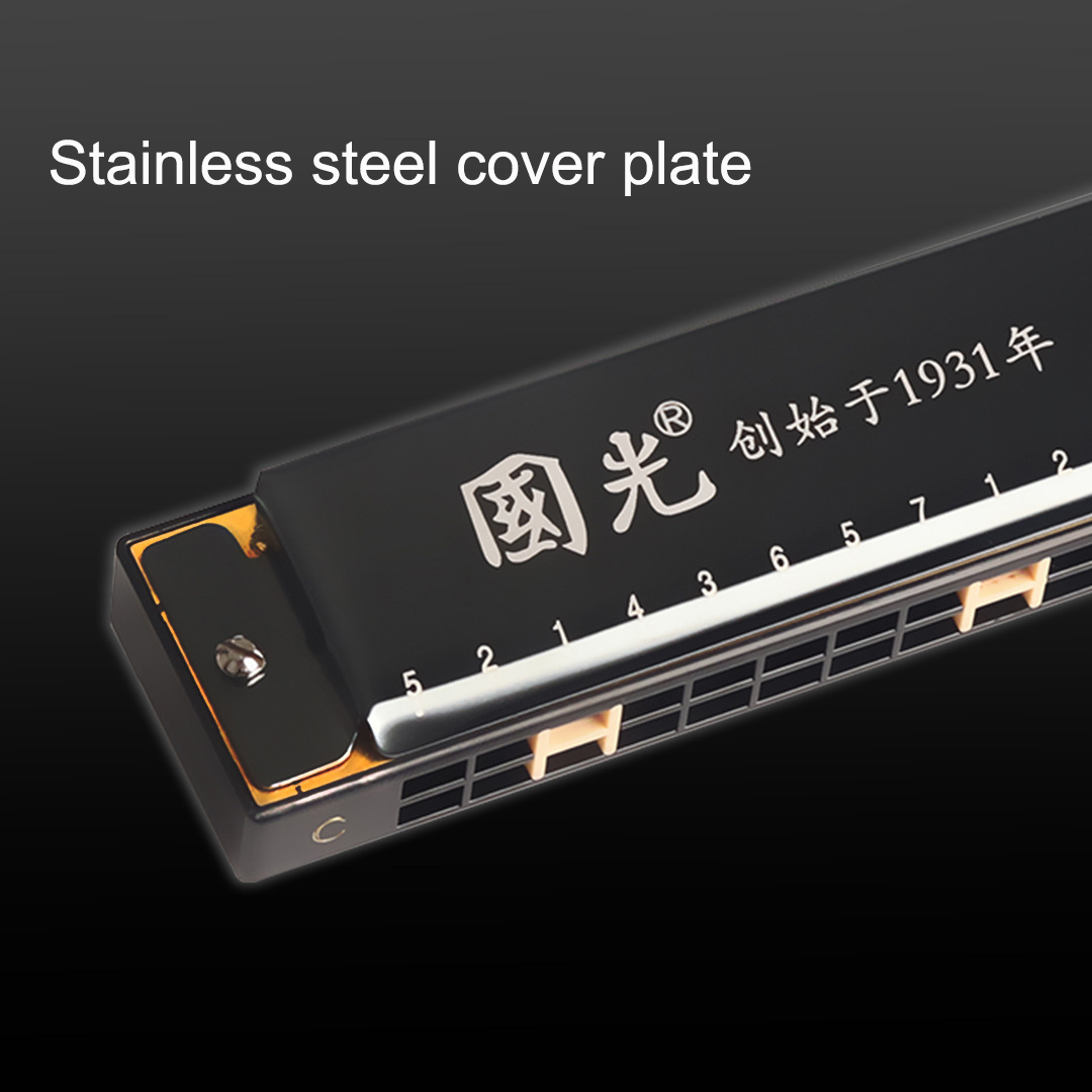 Guoguang Tremolo Armonica 24 f - Harmonica 10 Hole recensione e prezzo