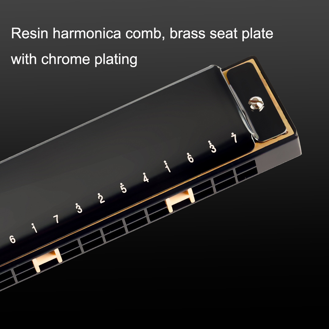 Guoguang Tremolo Armonica 24 f - Harmonica 10 Hole recensione e prezzo