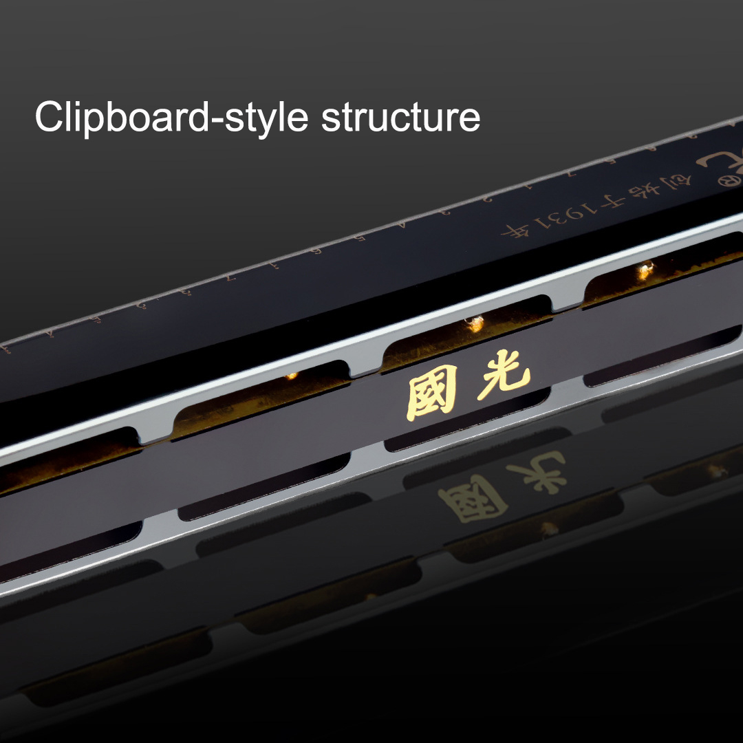 Guoguang Tremolo Armonica 24 f - Harmonica 10 Hole recensione e prezzo
