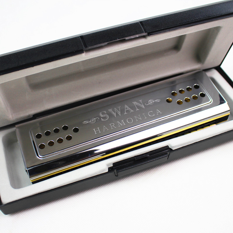 Entrambi i lati Cigno Armonica - Harmonica 10 Hole recensione e prezzo