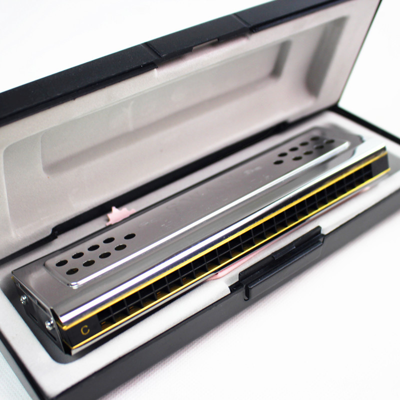 Entrambi i lati Cigno Armonica - Harmonica 10 Hole recensione e prezzo