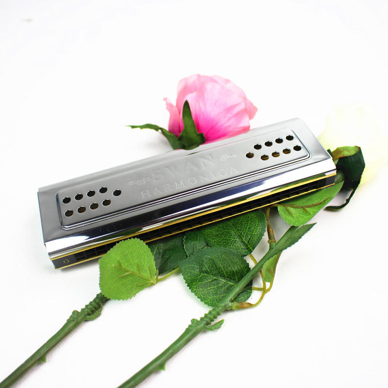 Entrambi i lati Cigno Armonica - Harmonica 10 Hole recensione e prezzo