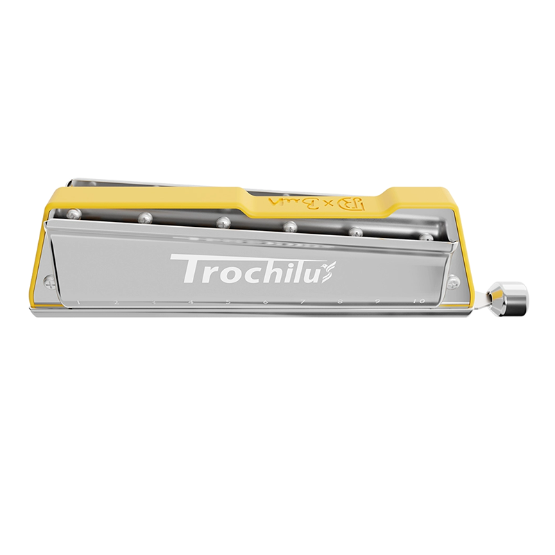 JDR Trochilus Armonica Blues A - Harmonica 10 Hole recensione e prezzo